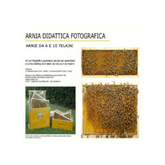 Photographic Kit for 6 frames for educational hive