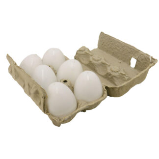 Plastic Nest Eggs for Chickens - Hollow - 6 pk
