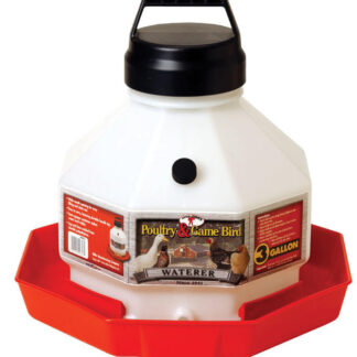 Little Giant Poultry and Game Bird Waterer