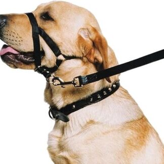 Ancol - Dog Training Halter - Head Collar - Helps Stop Pulling - Size: Medium (3-4)