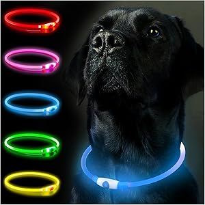 SerDa-Run Luminous Dog Collar, Rechargeable LED Collar for Dogs, Light Strip, Adjustable Size, Three Light Modes, Safety for Your Dog at Night