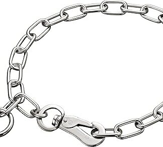 Sprenger Dog Necklace with Sprenger Hook Made of Stainless Steel 3 mm I Size Individually Adjustable I Necklace 75 cm