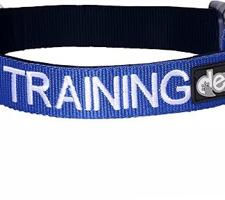 TRAINING (Dog In Training/Do Not Disturb) Blue Colour Coded S-M L-XL Dog Collars PREVENTS Accidents By Warning Others Of Your Dog In Advance (S-M)