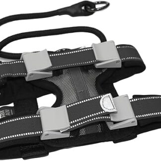 Cesar Millan Pack Leader Collar , blue