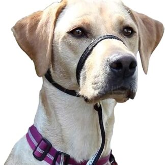 Premium Dog Harness - Training Collar Loving, Anti-Pull/No Pull Harness Guaranteed, Reduces Aggression, Anti-Bark Collar, Head Collar, Dog Headcollar: Small to Large Dogs, Black