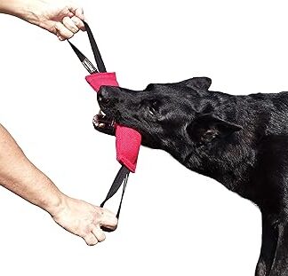 Dingo Gear S00311 Cotton Nylon Teething Sausage for Dog Training IGP IPO Obiedence Schutzhund Dog Sports 28 x 7 cm 2 Handles Pink