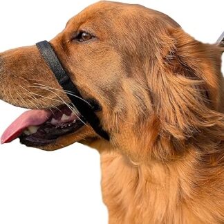 PetsProMax Dog Headcollar No Pull Instant Pull Gentle Training Collar for Dogs, Comfortable, Safe and Effective Walking/Training Solution (Black, L)