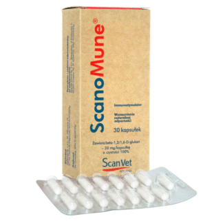 ScanVet SCANOMUNE 30 КАПСУЛ повышает иммунитет собак и кошек