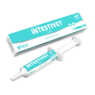 Vetfood INTESTIVET GEL 15 мл пробиотик, витамины и омега-кислоты в форме вкусной пасты для собак и кошек