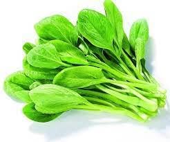 Nuove verdure di piume di pollo 200 pezzi