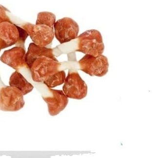 Generico Ossettini con Manzo per Cani 100 Grammi