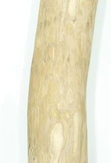 Osso da masticare per cani, diverse misure, 100% prodotto naturale, pulizia dei denti per cani, non si scheggia, taglia XS-XXL [Size]: XL