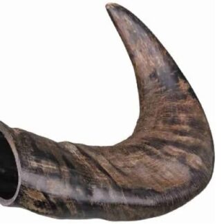 Snack per cane corno di bufalo 120g