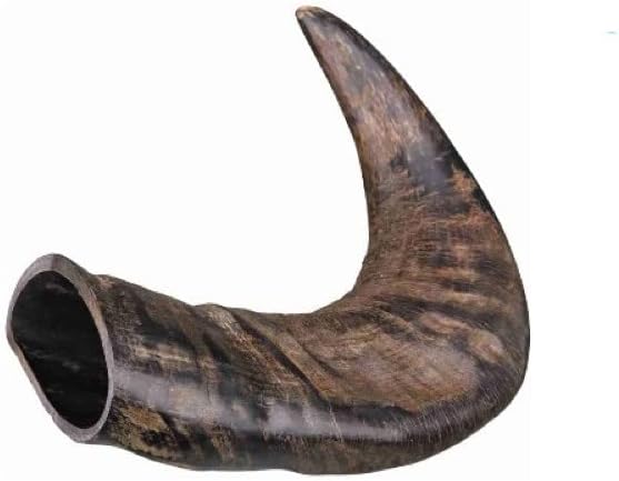 Snack per cane corno di bufalo 120g