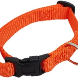 COLLARE PER CANI CAMON CLASSICO CON BLOCCO ARANCIONE (MM.12x200/250)