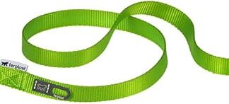 Ferplast Daytona G Guinzaglio per Cani Extraresistente - Morbida Impugnatura Imbottita - Pratico Porta Sacchetti Igienici - Antiabrasione - Design Italiano - 120 x 1,5 cm, Verde
