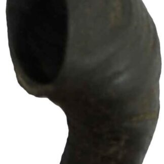 Bubimex CORNE DE Buffle 80G