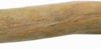 Dei NATURE Osso da Masticare in Legno di Caffè per Cani, Taglia S, Masticativo Naturale, Riduce il Tartaro