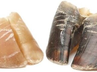 Frigera Zoccoli da 100 pezzi da 3500 g. Snack naturale per cani, senza glutine e cereali, per la cura della pelle e del pelo