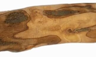 Dei NATURE Legno di Ulivo per Cani, Masticativo Naturale, Bastoncino Antitartaro per la Pulizia dei Denti, Taglia M