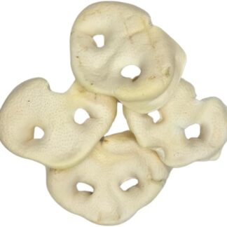 Naso di maiale premium – 100% naturale, 100% misura masticabile