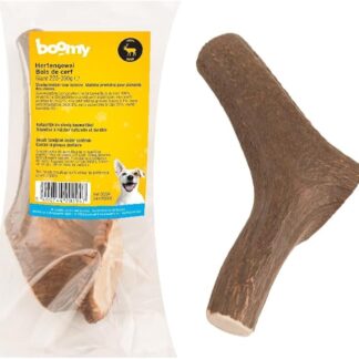 Boomy - Corna di cervo - Snack per cani ipoallergenico - Snack da masticare per un piacere duraturo (XXL = 225-350 g)