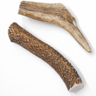 2 spuntini per cani, taglia L, corna di cervo rosso