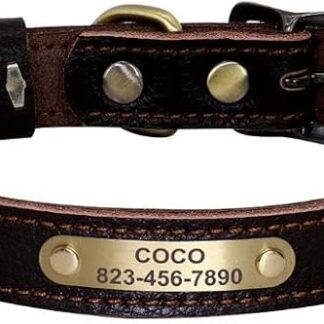 Collare Per Cani Personalizzato Collari Per Gatti Regolabili Per Cuccioli Collari Per Chihuahua Per Animali Domestici Collana Anti-smarrimento Per Cani Di Piccola Taglia E Media,Marrone,20-30 C