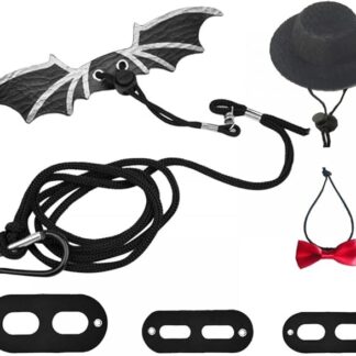 Set Imbracatura e Guinzaglio per Lucertola, Imbracatura per Rettili Regolabile in Pelle con Ala da 3 Dimensioni per Passeggiate di Sicurezza All'aperto