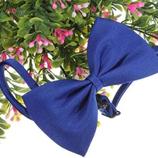 floatofly Papillon per Animali Domestici Cat Dog Collar Neck Cravatte Carino Tinta Unita Regolabile Cat Bowtie Pet Dog Collar Bowknot Cravatta Papillon Regalo per Animali Domestici Blu