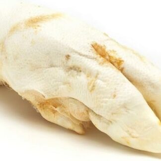 Gloria Piedini di Maiale Disidratata Espositori 300 g