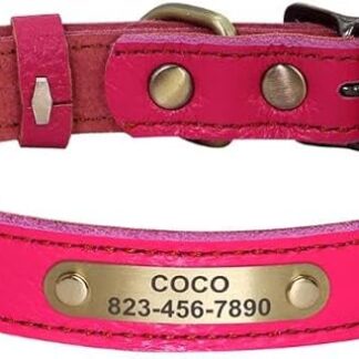 Collare Per Cani Personalizzato Collari Per Gatti Regolabili Per Cuccioli Collari Per Chihuahua Per Animali Domestici Collana Anti-smarrimento Per Cani Di Piccola Taglia E Media,Rosa,20-30 Cm