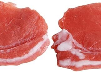 HOOTNEE 2pezzi Simulati Per Decorazione e Vetrine Accessori Casa Per Fotografia e Esposizione