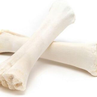 Gloria Expositor Calcio Osseo - 300 g