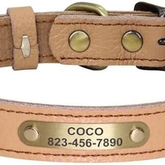 Collare Per Cani Personalizzato Collari Per Gatti Regolabili Per Cuccioli Collari Per Chihuahua Per Animali Domestici Collana Anti-smarrimento Per Cani Di Piccola Taglia E Media,Marrone1,20-30