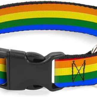 Buckle Down pc-w30693-s Bandiera Gay Pride Arcobaleno plastica Clip Collar, Small/9 – 38,1 cm