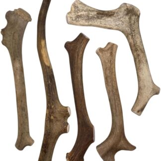 Articolo da masticare per cani di renna, naturale, estremamente resistente, ideale come lavoro, per alleviare lo stress e per la cura dei denti, ricco di sostanze minerali