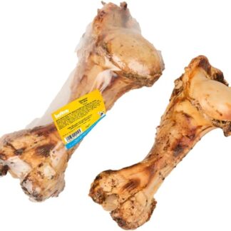 Boomy - Osso Dino - Snack per cani - Masticativo grande - 1 pezzo