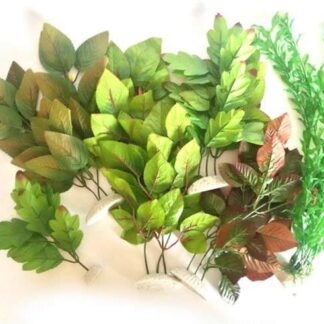 Zolux OS Presse 30 cm