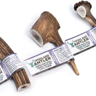 Antos Antler Natural Dog Chew (Taglia: Medium) Le dimensioni possono variare