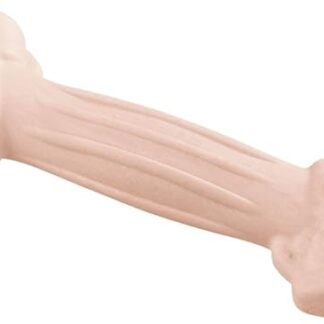 Ferplast GOODBITE NATURAL S gioco osso per l'igiene orale, gusto prosciutto, cane medio-piccolo (5-10 Kg), naturale, 1 pezzo da 40g