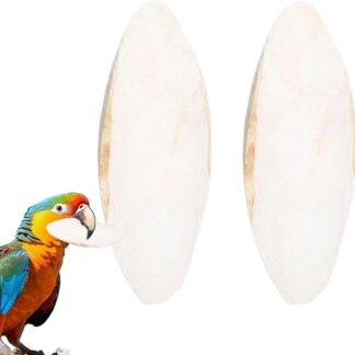 Osso di seppia per tartaruga, osso di seppia, becco di parrocchetto, 15 - 20 cm, per calopsitta, canarini, rettili, inseparabili, pappagalli