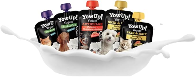 YOW UP Pouch Yogurt Cani Articolare Scatola Display 10X 115GR