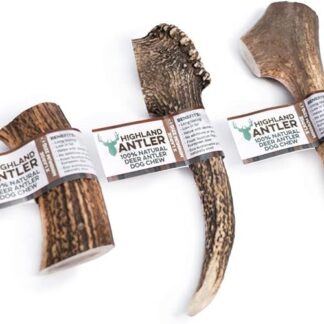 Antos Corna da Masticare per Cani, Taglia XL