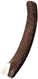 Wildes Land Medio osso cervo taglia XL