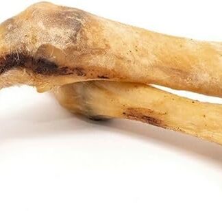 GLORIA - Stinchi di agnello espositori