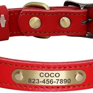 Collare Per Cani Personalizzato Collari Per Gatti Regolabili Per Cuccioli Collari Per Chihuahua Per Animali Domestici Collana Anti-smarrimento Per Cani Di Piccola Taglia E Media,Rosso,20-30 Cm