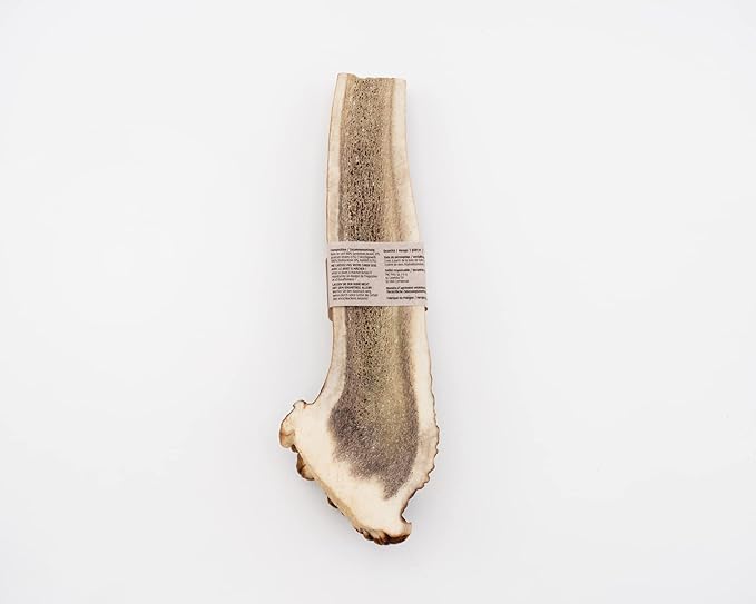 Deer antler - Osso da masticare per cani, diverse misure, 100% prodotto naturale, pulizia dei denti per cani, a prova di schegge, non I ha un effetto calmante, taglia M – 2 – 20 kg