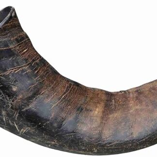 Trixie Corno da masticare per cani, in vero bufalo, grande