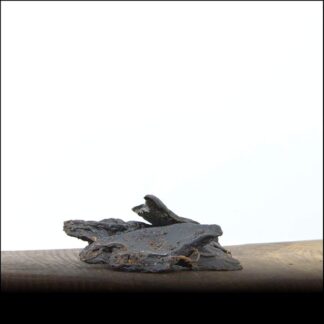 George & Bobs Feltro di agnello – 1000 g